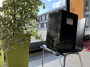 Cajon Schulband